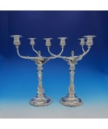 Chrysanthemum by Tiffany and Co Sterling Silver Candelabra Pair 3-Light ... - €64.196,78 EUR