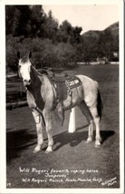 Will Rogers Favorite Roping Horse Soapsuds RPPC Santa Monica CA Postcard Z5 - £7.15 GBP