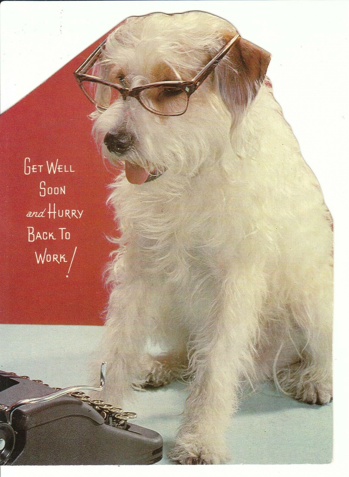Primary image for Vintage Get Well Card Jack Russell Terrier Dog in Glasses Hurry Back Unused