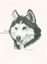 #58 SIBERIAN HUSKY portrait dog art print * Pen and ink drawing * Jan Je... - $12.50