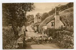 Cherry Bridge Devon Frith&#39;s Series Postcard Sheep Blocking the Lane  - £9.15 GBP