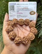 Lab Certified Natural Rudraksha 5 Mukhi Rudraksh Bracelet Adjustable Unisex 20mm - $24.49