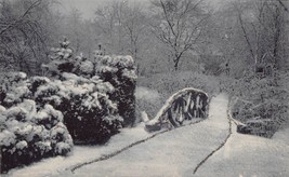 Snowy Winter SCENE-RUSTIC BRIDGE~1907 Rotograph Published Postcard - £4.74 GBP