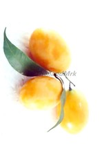 Maprang Bouea macrophylla Anacardiaceae 5 Seeds ThailandMrk - $5.00