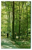 Woodland Museum Cooperstown New York Unused Postcard - £3.81 GBP