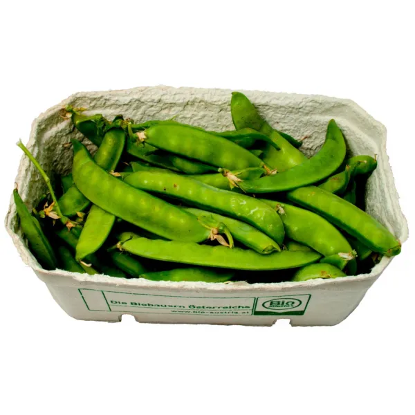 Non Gmo 16+ Pea Seeds Snow Oregon Sugar Pod Heirloom Fresh Garden Beautiful - £6.92 GBP