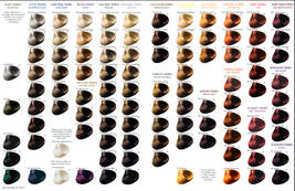 All-Nutrient Keratint Color-Glaze Hair Color - 10CS Very Light Cool Slate image 4