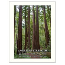 American Strength 2 White Framed Print Wall Art - $79.99