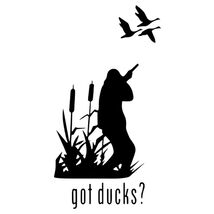 41cxcuhqhjl thumb200