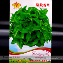 Mozzie Buster Mosquito Repellent Herb Weed Seeds Pack 30 Seeds Pack Qcin... - €4,14 EUR