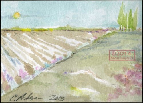 Newly Planted Fields : Oxnard Ventura Santa Paula California By (Listed ... - $57.66