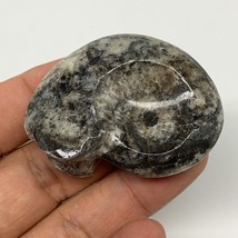 33.4g, 2&quot;x1.5&quot;x0.7&quot;, Goniatite Ammonite Polished Mineral from Morocco, F1989 - £9.59 GBP