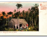 Natives at Home TH Hawaii HI Island Curio No 25 UNP PMC Postcard U14 - $18.04