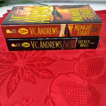 Lot of 2 (#1-2) BROKEN WINGS Complete Series Set Paperback Books by VC A... - $184.51 MXN