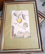 Limon Da Calabria Sketching Framed Behind Glass Frame Is 21&quot; x 14 1/2&quot; - $454.60 MXN