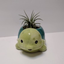 Sea Turtle Planter with Air Plant, 5" Blue Green Ceramic Tortoise Pot, Airplant