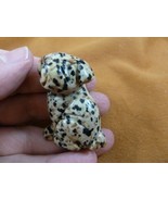 (Y-DOG-SH-563) spotted SHAR PEI PUG gemstone carving dog SHARPEI stone F... - €11,91 EUR