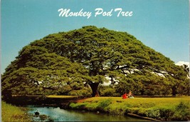 Hawaii HI Hawaiian Monkey Pod Tree Dexter Press Chrome Postcard - $5.09