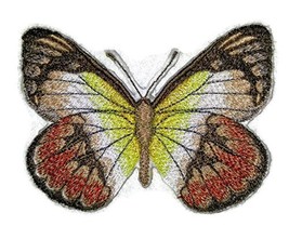 BeyondVision Custom and Unique Amazing Colorful Butterflies[Scarlet Jezebel ] Em - £10.27 GBP