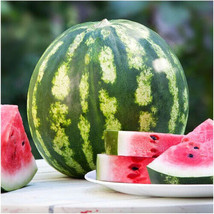 MBK Crimson Sweet Watermelon Seeds 25 Seeds Heirloom Non-Gmo 1044 Fresh ... - $163.71 MXN