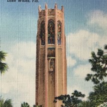 Florida Vintage Postcard Spring Tower Lake Wales Flamingos - £7.95 GBP