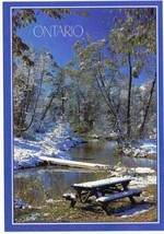 Ontario Postcard Winter In Ontario Snow Larger Card - £1.68 GBP