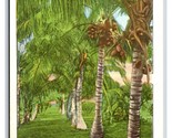 Cocoanut Avenue Fort Myers Florida FL UNP Chrome Postcard M18 - £1.51 GBP