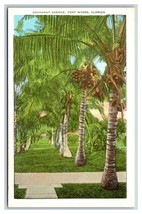 Cocoanut Avenue Fort Myers Florida FL UNP Chrome Postcard M18 - £1.52 GBP