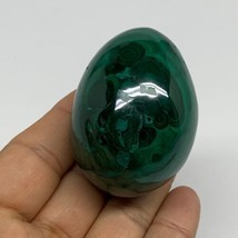 170g, 2.1&quot;x1.5&quot;, Natural Solid Malachite Egg Polished Gemstone @Congo, B32772 - £106.46 GBP