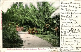 Vtg Postcard 1907 Old Spanish Cannon - Tampa Bay Grounds Tampa, Florida Undiv - £9.80 GBP
