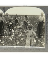 Stereoscope Texas Cotton Field At Picking Time Black American - $37.63 CAD