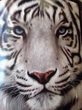 American Heritage Collection, &quot;White Face Tiger&quot; Raschel Throw, 50&quot; X 60 - $31.99