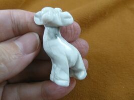 (Y-GIR-ST-558) white GIRAFFE giraffes stone carving FIGURINE gemstone gi... - $15.79