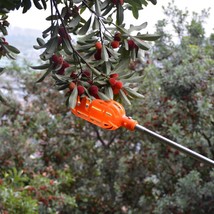 Easy Fruit 2-In-1 Picker &amp; Basket - £10.36 GBP