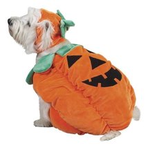 MPP Dog Halloween Costume Pumpkin Pooch Soft Plush 3D Jack-O-Lantern Face Stem C - £23.80 GBP+