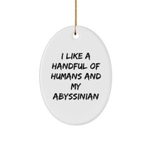 Abyssinian Cat Lovers Gifts from Friends for Christmas Oval Ornament with Funny  - $19.55