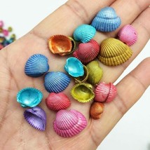 10 Real Seashells Assorted Lot Nautical Ocean Themed Embellishments Fairy Garden - £3.39 GBP