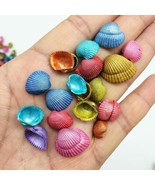 10 Real Seashells Assorted Lot Nautical Ocean Themed Embellishments Fairy Garden - £3.40 GBP