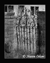 Rustic Iron Gate - Fine Art Print - MS0067BW - £13.98 GBP