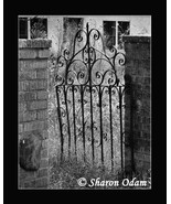 Rustic Iron Gate - Fine Art Print - MS0067BW - £13.77 GBP