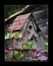 A Rustic Country Birdhouse - MS0052C1 - Fine Art Photography - £14.03 GBP