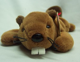 Vintage Ty Beanie Baby Bucky Beaver 11&quot; Bean Bag Stuffed Animal Toy 1995 New - £11.99 GBP