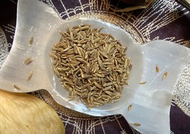 .5 oz Cumin Seeds, Fidelity, Love, Anti-Theft, Repel Evil, Lust,Binding,Exorcism - £1.03 GBP