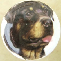 Ceramic Cabinet Knobs Rottweiler #5 DOG - $4.55