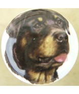 Ceramic Cabinet Knobs Rottweiler #5 DOG - $4.55