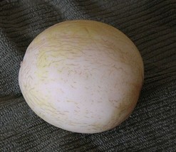 Sprite Melon Fast Growing Sweet Tasting Farm  25+ seeds - £7.23 GBP