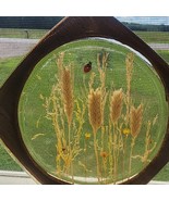 MCM Vintage Mod Lucite Acrylic Resin Trivet Wheat /  Ladybug Mid Century... - $222.53 MXN