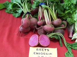 THJAR 450 SEEDS - beet, CHIOGGIA CANDYSTRIPE BULLSEYE - $2.00