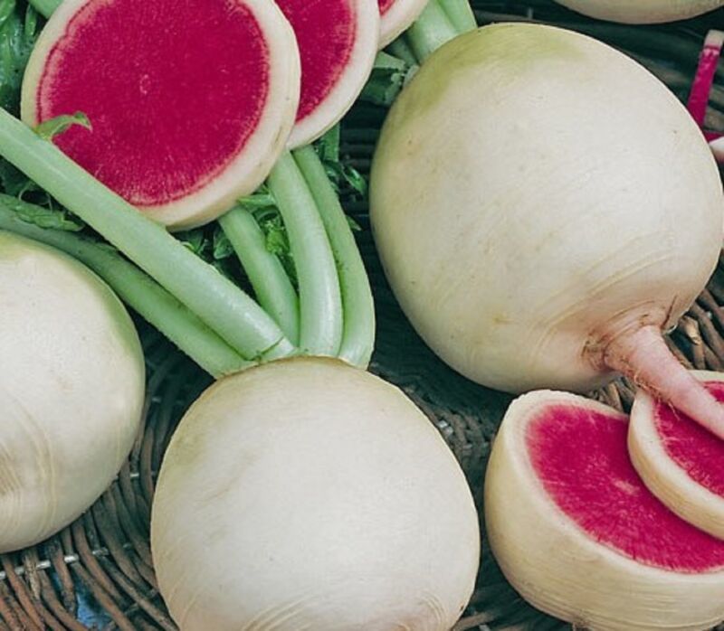 Watermelon Radish Seeds 100 Seeds  Non-Gmo Fast Shipping - $7.99