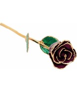 24k Gold Dipped Burgundy Lacquer Real Rose Valentine&#39;s Day Holiday Gift - $121.00